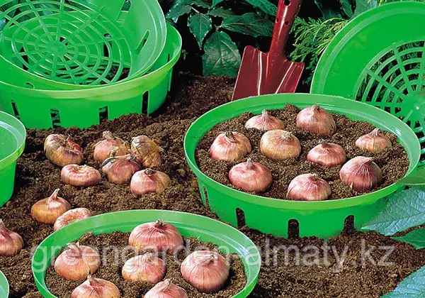 Корзины для луковиц Onion | Prosperplast Код: IKCE2