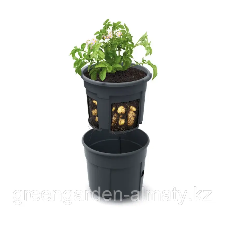 Горшок для выращивания картофеля Potato Grower 2в1 | Prosperplast Код: IZIE300