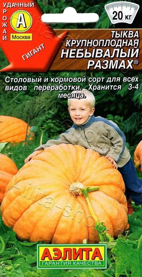 Семена Тыквы крупноплодной "Небывалый размах" Аэлита Код: 80205