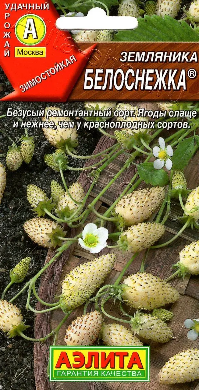 Семена Земляники "Белоснежка" Аэлита Код: 80233