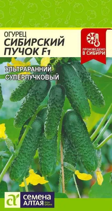 Семена Огурцов "Сибирский Пучок F1" Семена Алтая Код: 80019