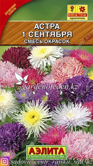 Семена астры Аэлита "1 сентября, смесь окрасок". Код: 28001