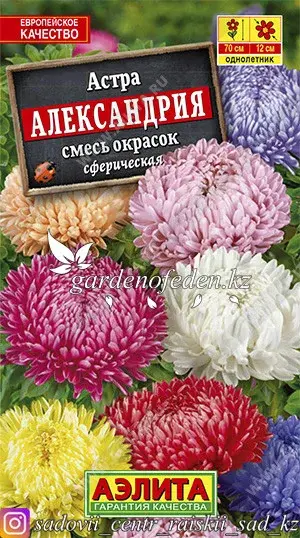 Семена астры Аэлита "Александрия, смесь окрасок". Код: 28002