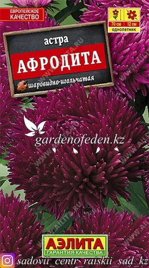 Семена астры Аэлита "Афродита". Код: 28004