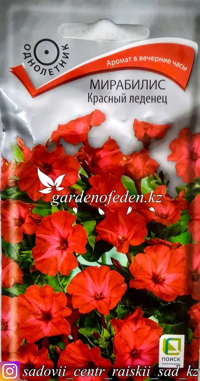Семена пакетированные Поиск. Мирабилис "Красный леденец". Код: 28304