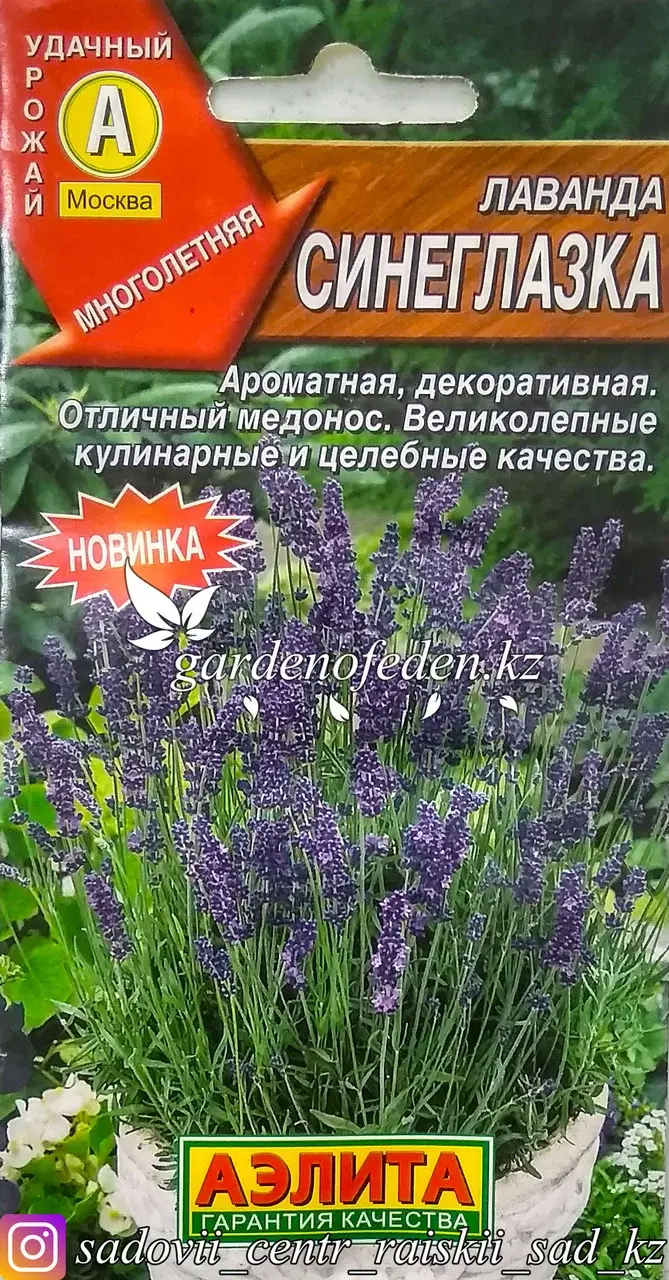 Семена пакетированные Аэлита. Лаванда "Синеглазка". Код: 28316