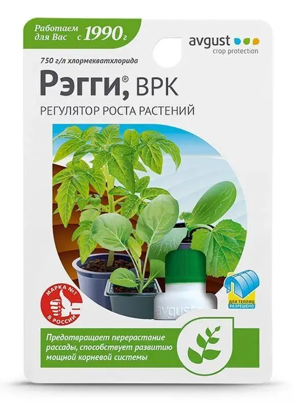 Рэгги 1мл регулятор роста растений Код: 10-00001815