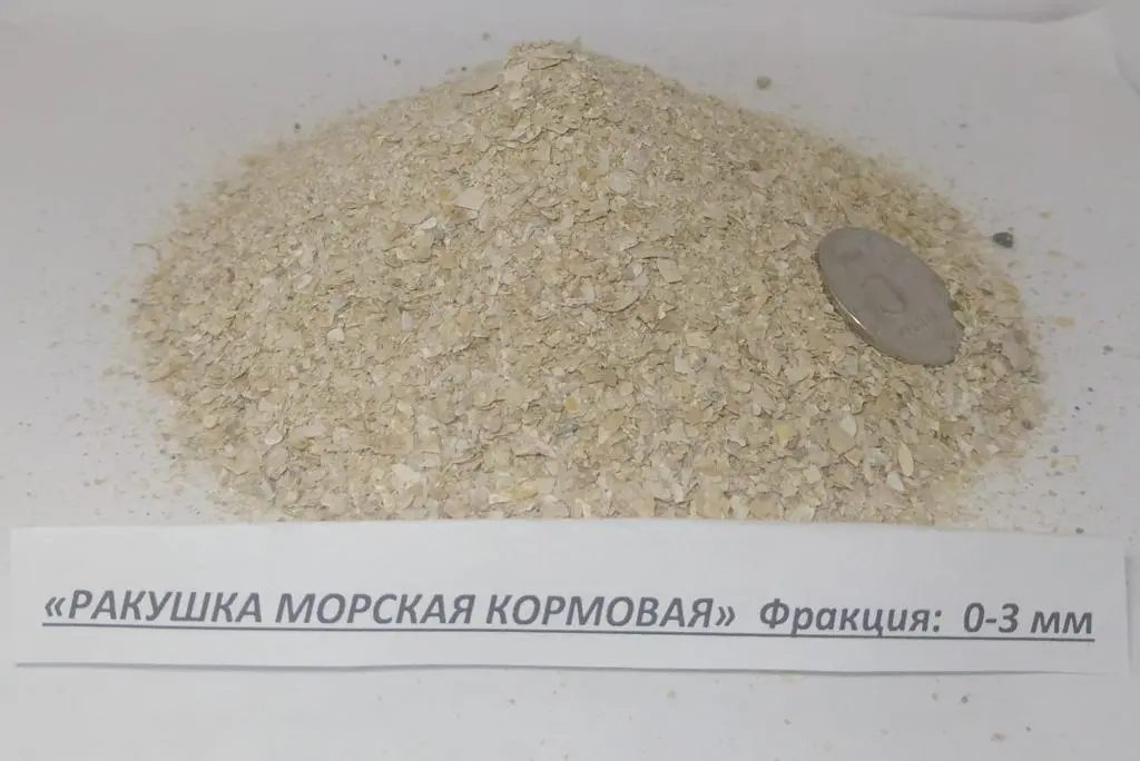 Ракушка кормовая-морская