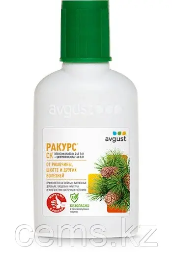 Ракурс 48мл