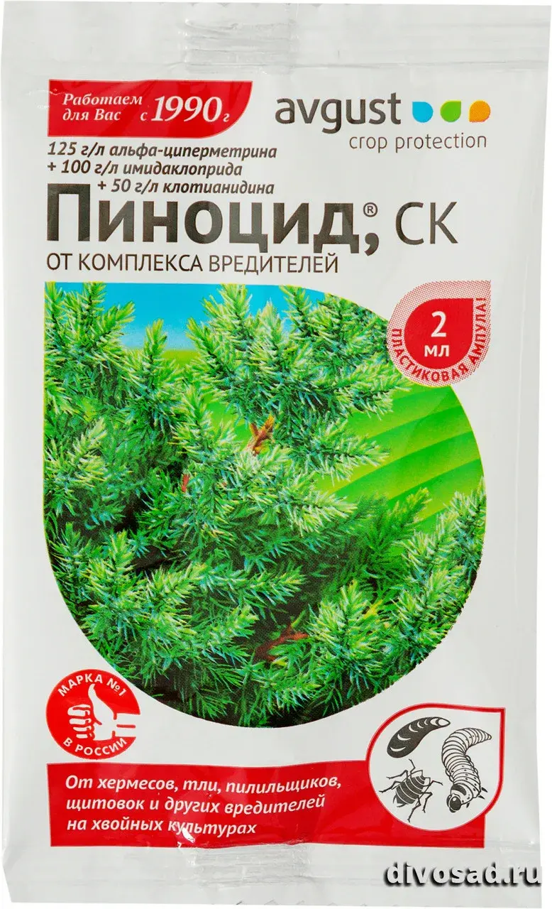 Пиноцид 2 мл Код: 10-00004884