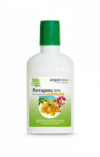 Янтарин янтарная кислота 100мл Код: 00000011825