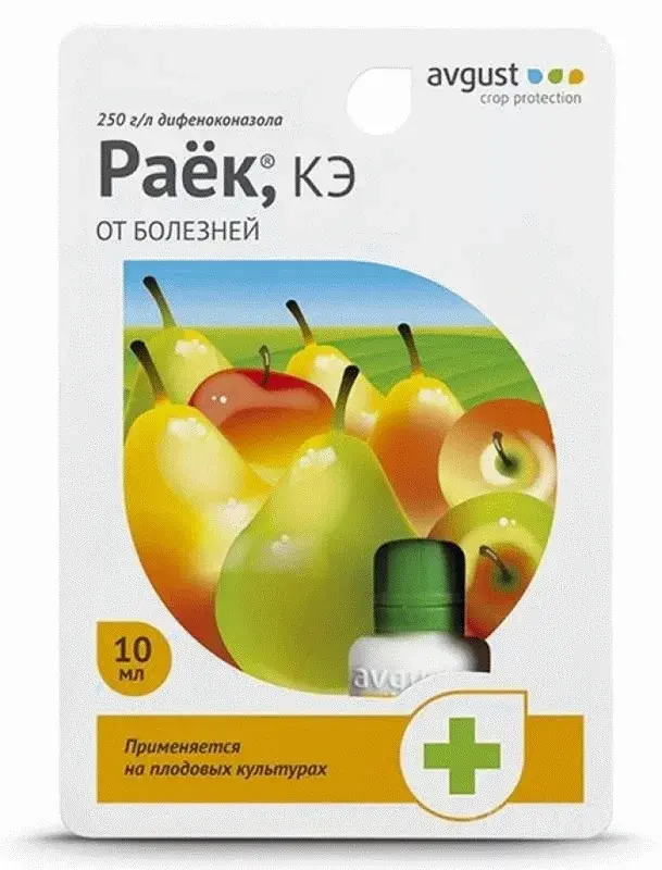 Раек 10мл фунгицид Код: BK000008106
