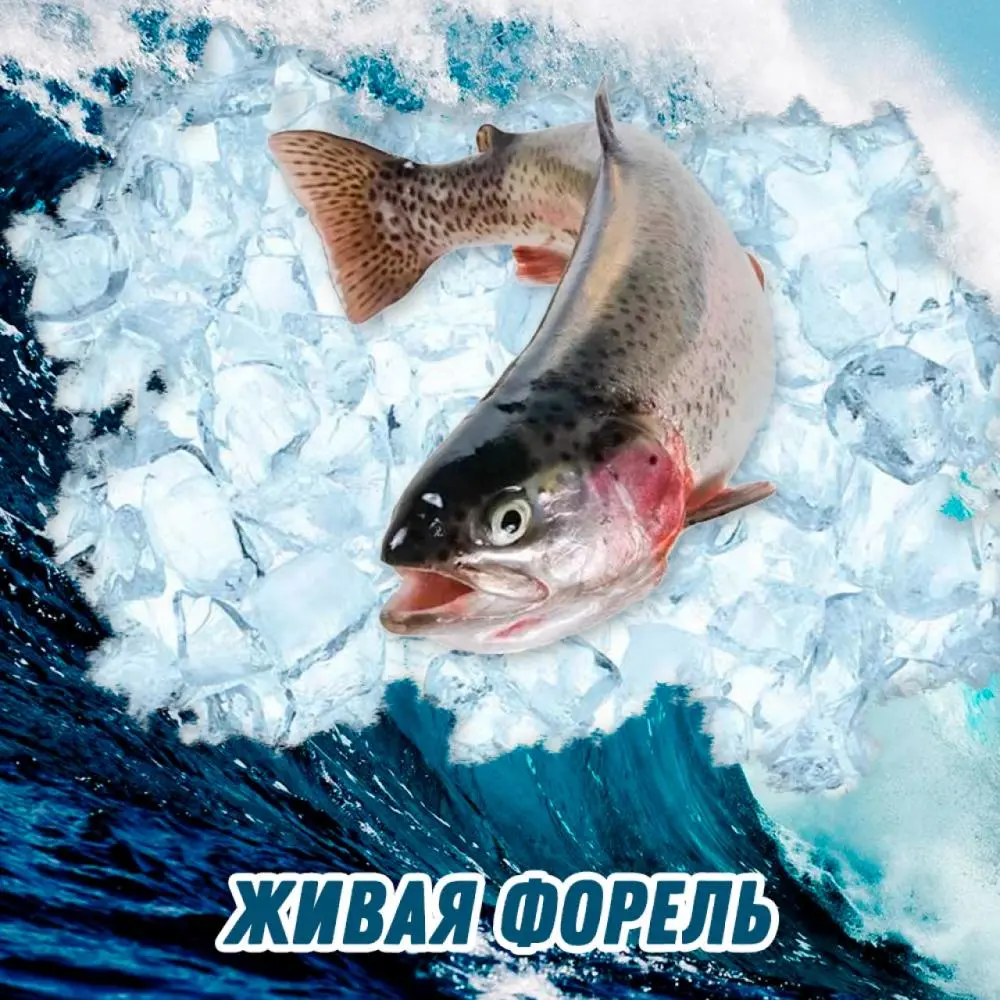 Форель живая от 300до 350грамм
