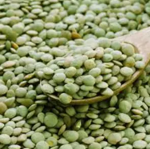 продам чечевицу зеленую крупную