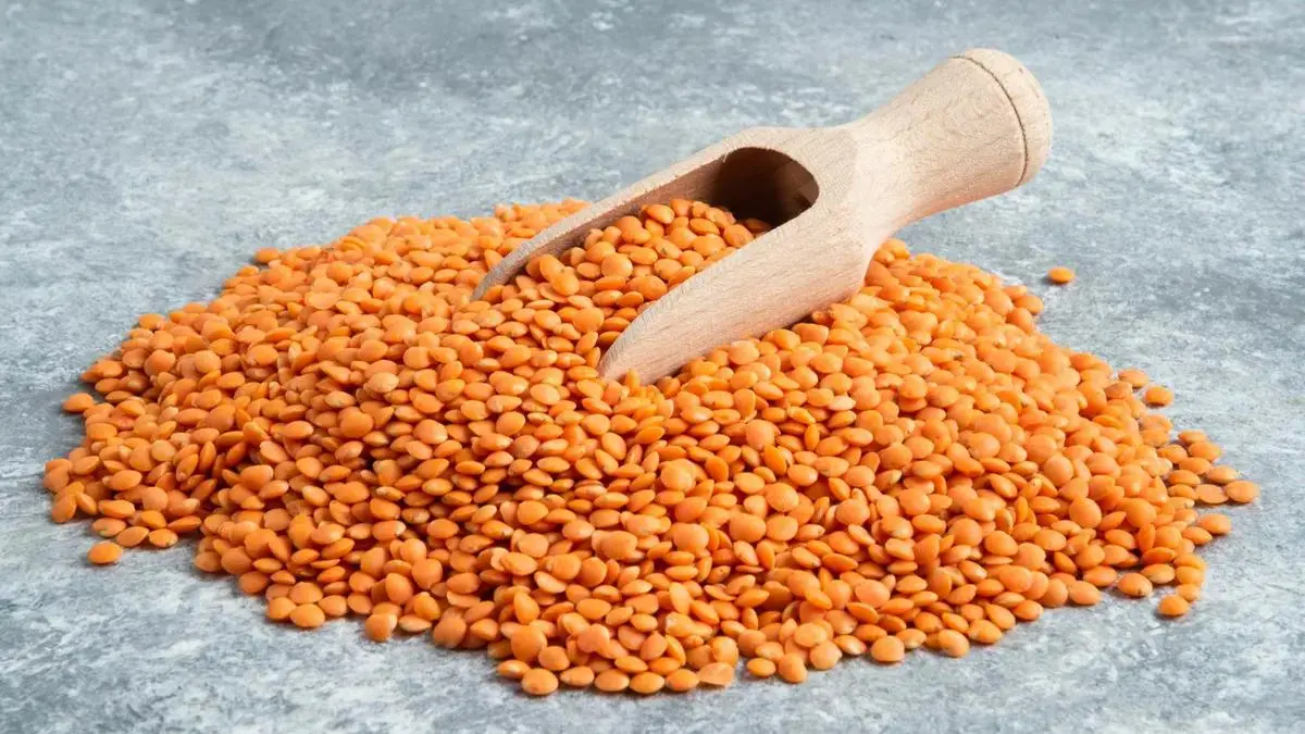 Продам чечевицу красную
