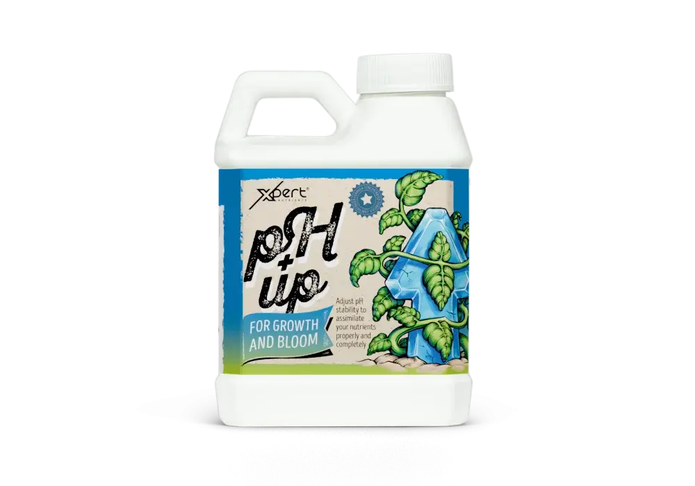 Ph Up 0.25 L (Xpert Nutrients)