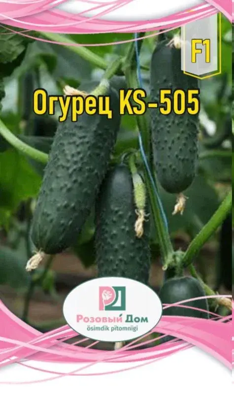 Семена огурцы КS- 505 F-1