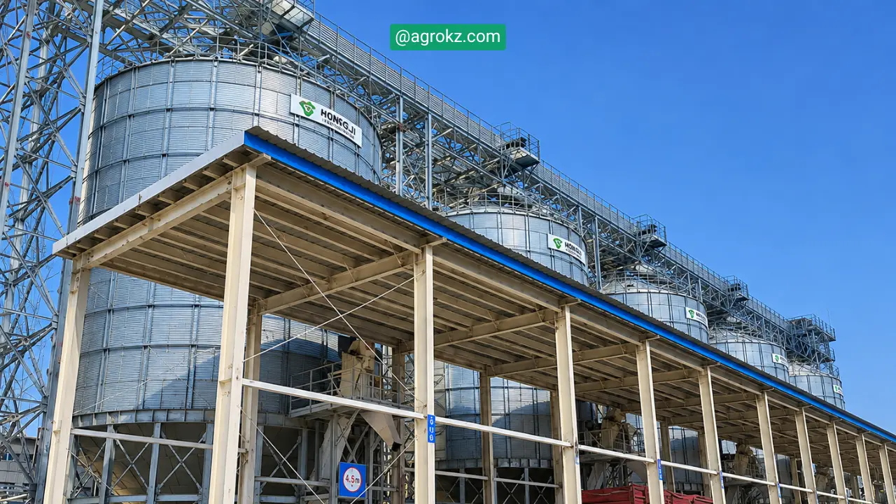 Алашанькоу арқылы Қытайға астық жеткізу 97,5%-ға өсті