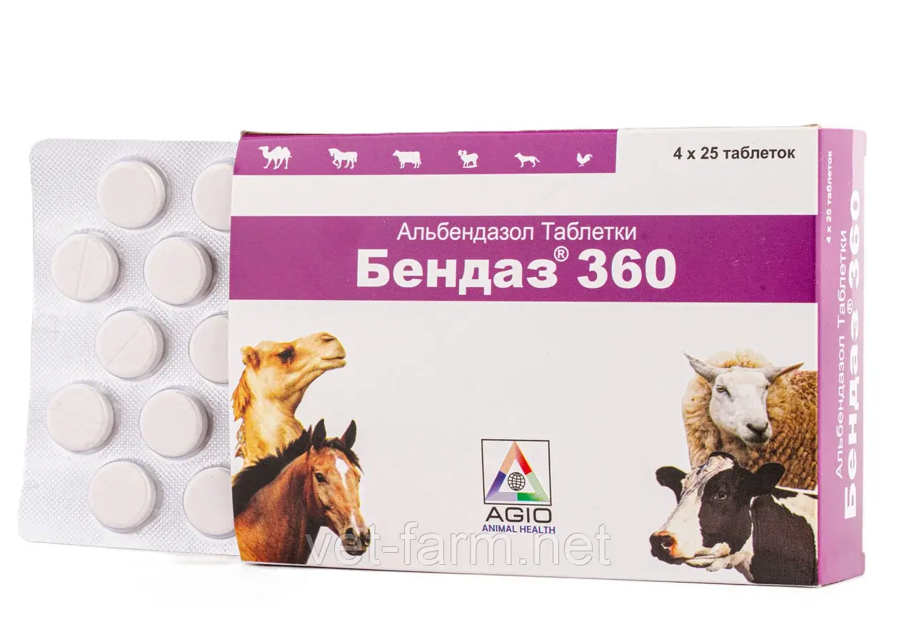 Бендаз 360