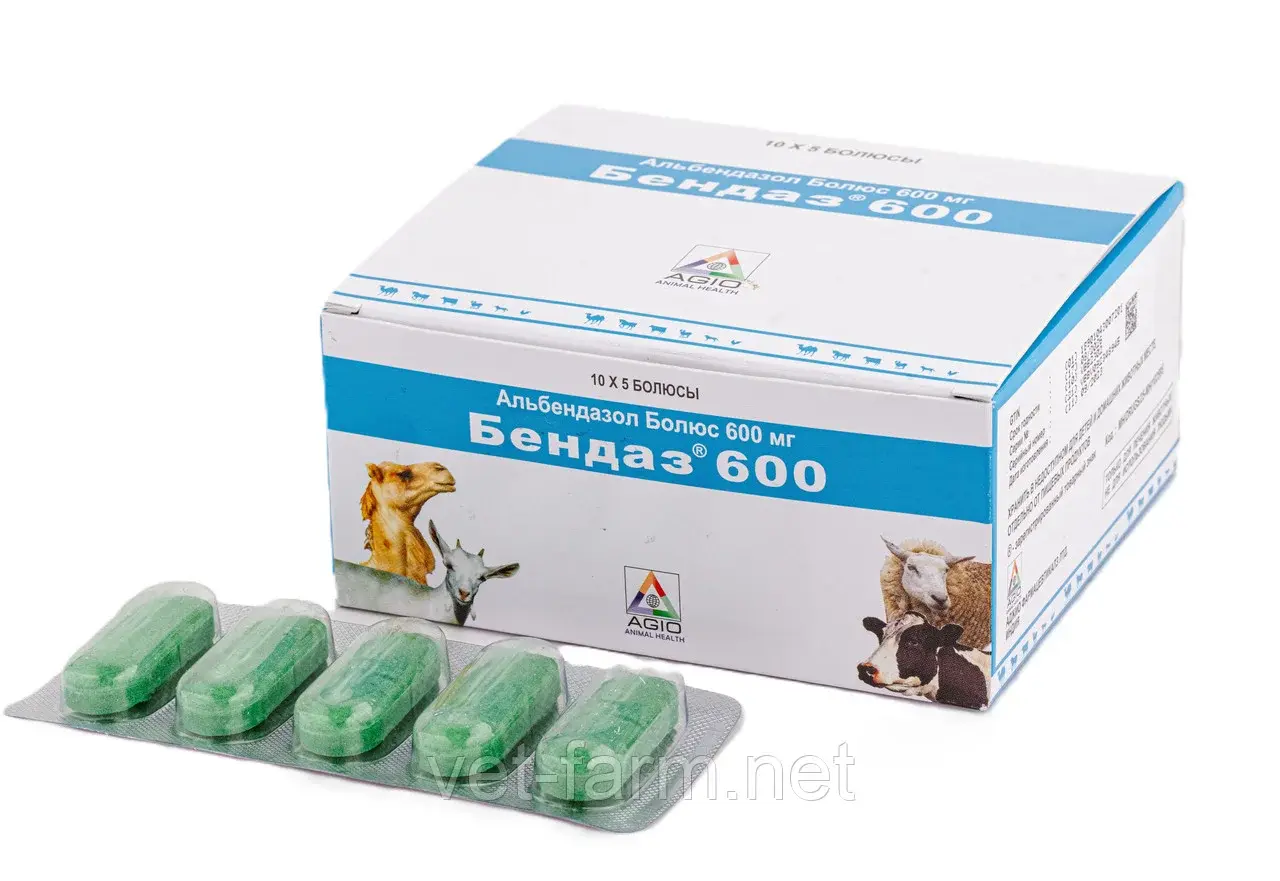 Бендаз 600