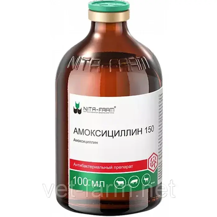 Амоксициллин 150 (100 мл)