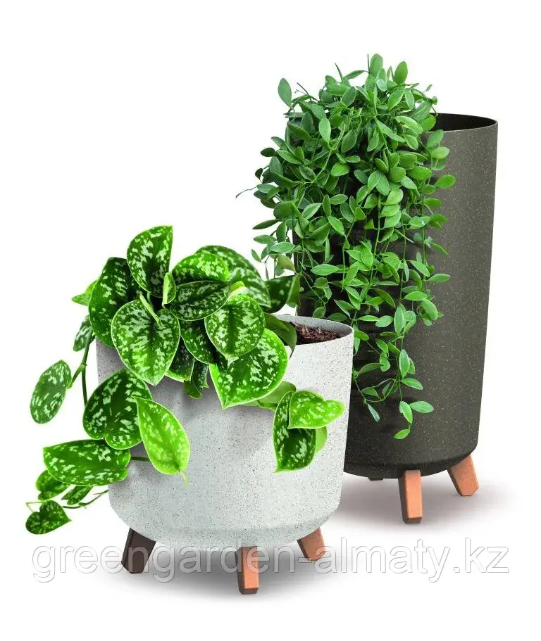 Горшок на деревянных ножках Gracia Beton Effect DGRL300W | Prosperplast Код: DGRL300W-S449W