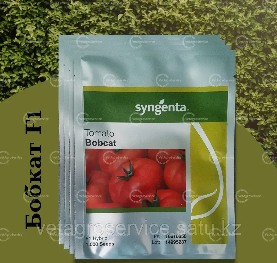 Семена томата БОБКАТ F1 Syngenta 1000 семян Код: BOBCATF1