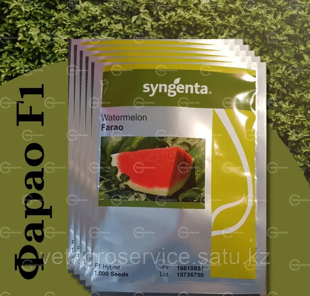 Арбуз ФАРАО F1 (1000 семян) Syngenta Код: FARAOF1