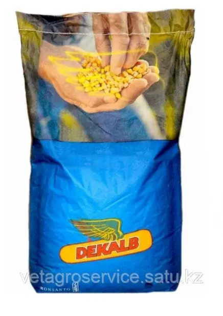 Кукуруза кормовая DKC 5404 DEKALB 50 000 семян Код: DKC5404