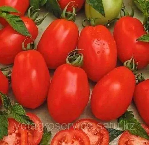 Томат Рио Гранде Nasko 100 гр