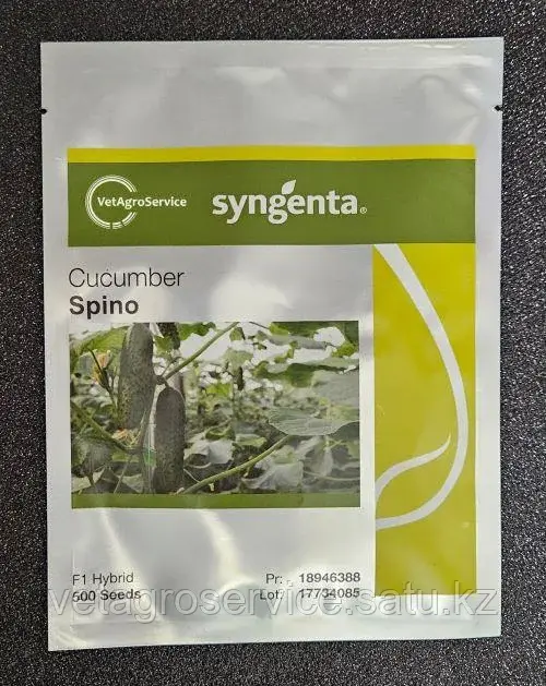 Огурец Спино F1 Syngenta 500 семян Код: SPINOF1