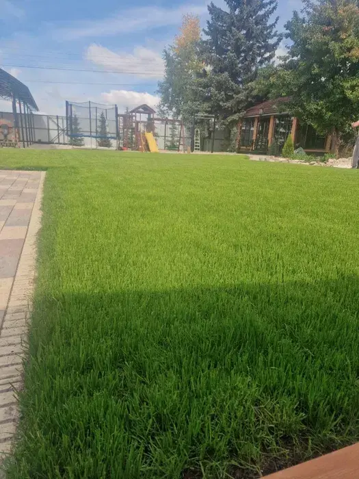 Газон