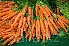 Свежая морковь с оптовой базы