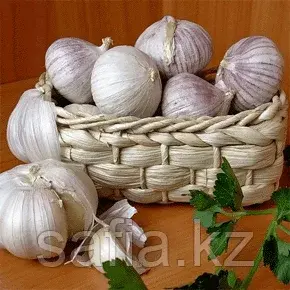 Продажа чеснока с оптовой базы