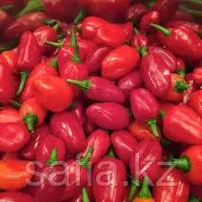 Продажа свежего перца с оптовой базы