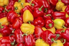 Продажа свежего перца с оптовой базы