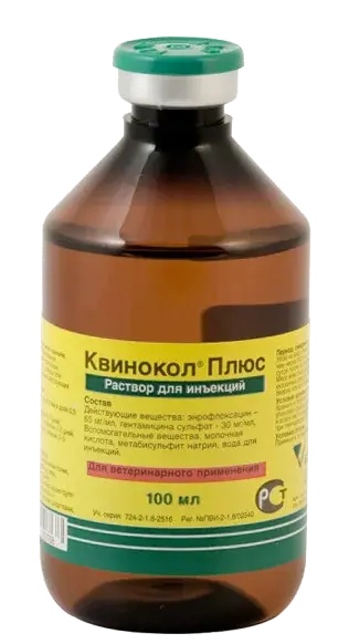 Квинокол плюс