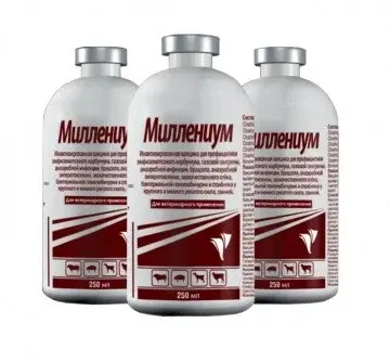 Миллениум