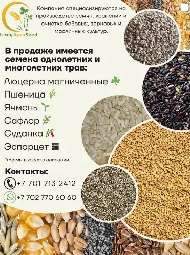 Эспарцет
