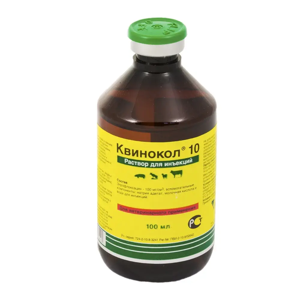 Квинокол 10%