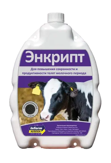 Энкрипт