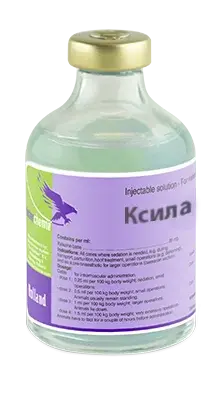 Ксила