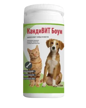 КандиВИТ Боун