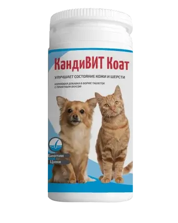 Кандивит Коат