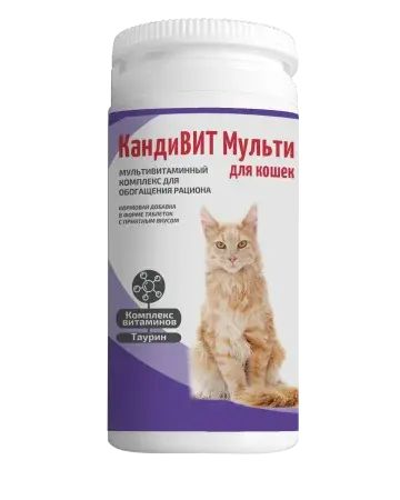 КандиВИТ Мульти для кошек
