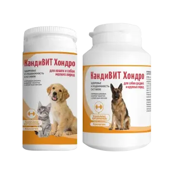 КандиВИТ Хондро