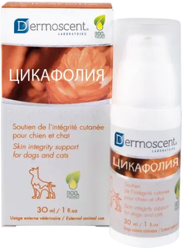 Цикафолия