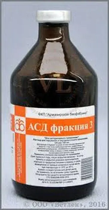 АСД фракция 3, Армавир