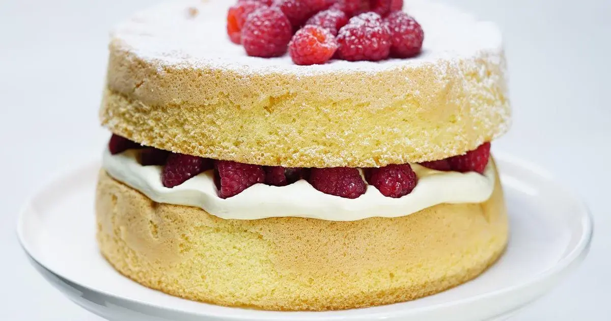 Смесь для пирога Cake mix Credin 15кг