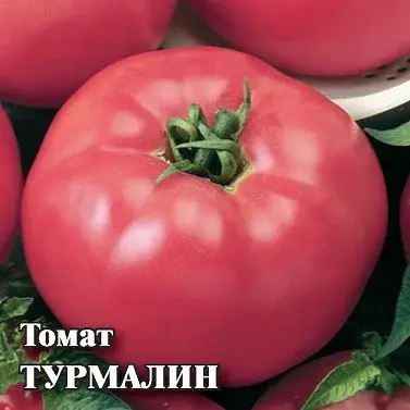 Семена розовоплодного томата Турмалин